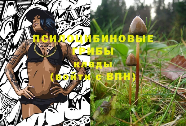 марки lsd Балабаново