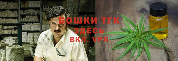 ешки Арсеньев